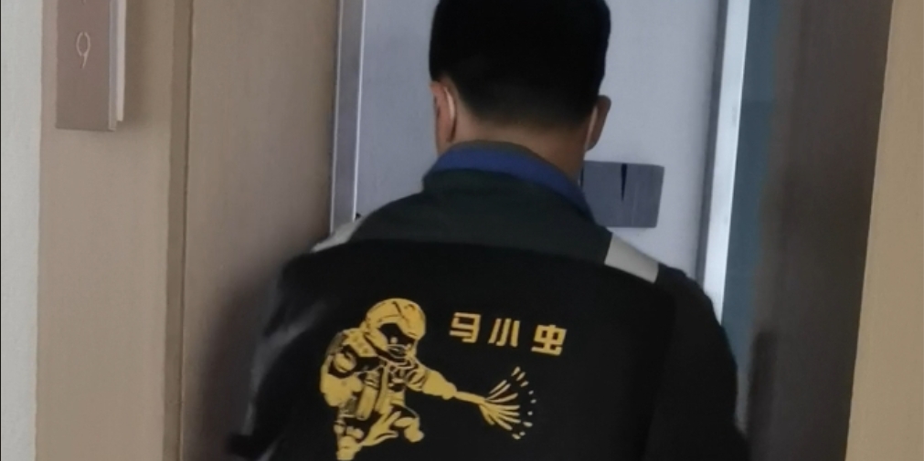 警惕家中的“无声破坏者”：白蚁防治全解析与应对指南