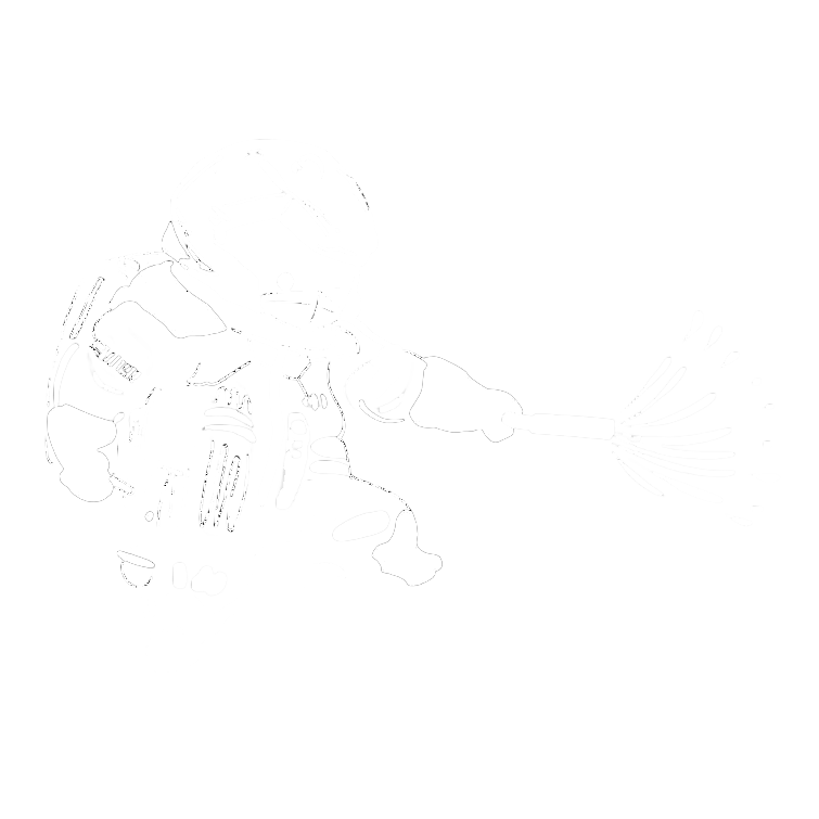 灭虫虫（四川）科技有限责任公司