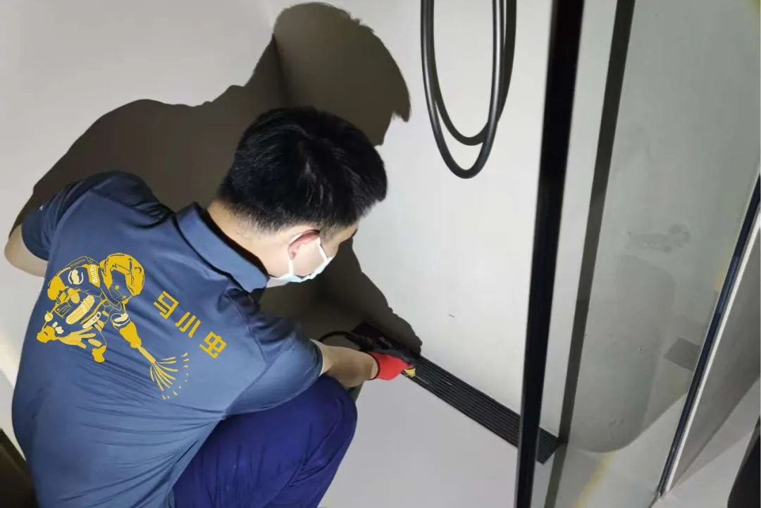 家里莫名出现小土路？再不注意房子可能被啃空！