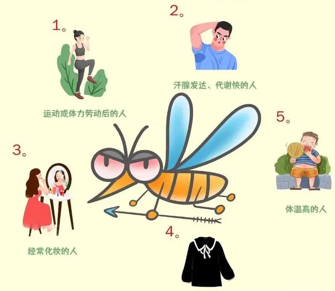 网友亲测歌曲灭蚊？马小虫告诉你... ...