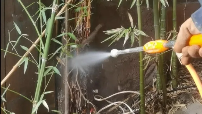 白蚁来袭，科学防治避开“消杀刺客”，认准「持证+可溯」服务