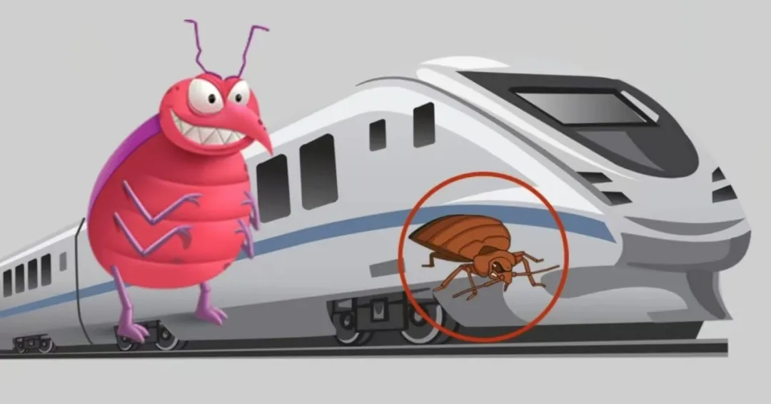 列车卧铺惊现“吸血刺客”？我们如何反击？