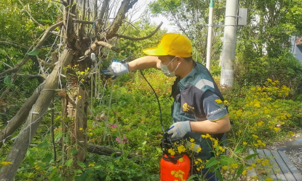 用户之虫害消杀服务指南