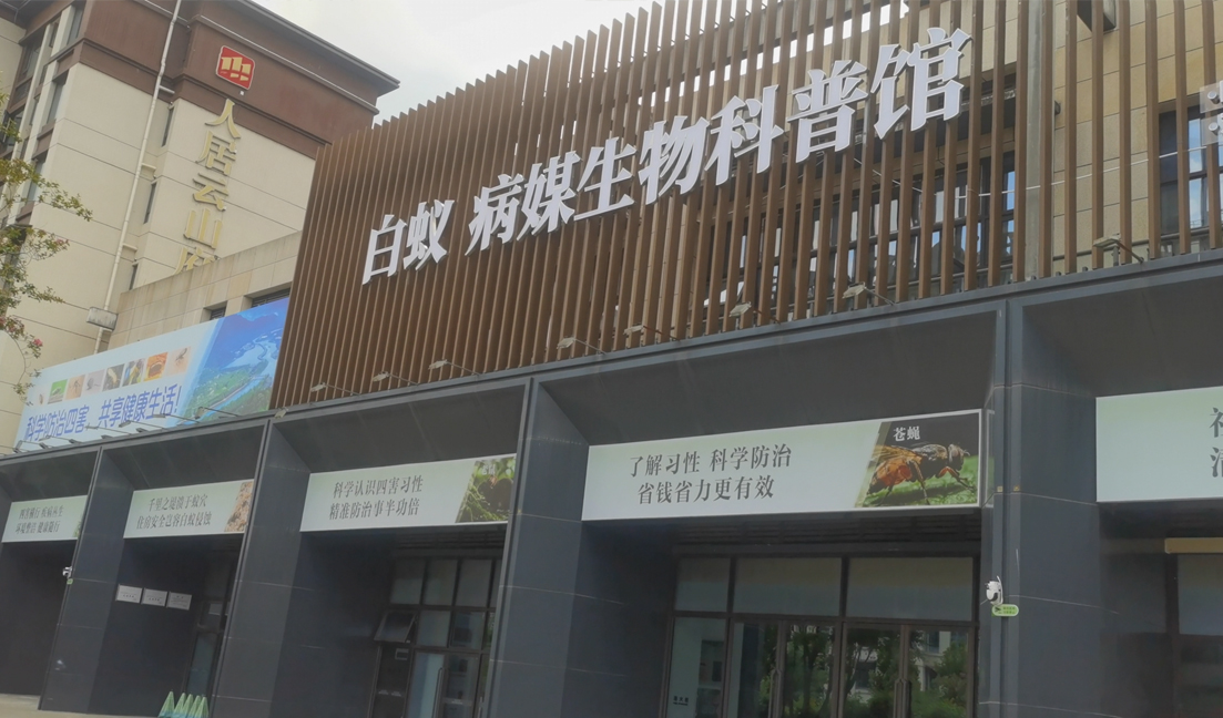 探秘白蚁世界--未成年人社会实践体验站