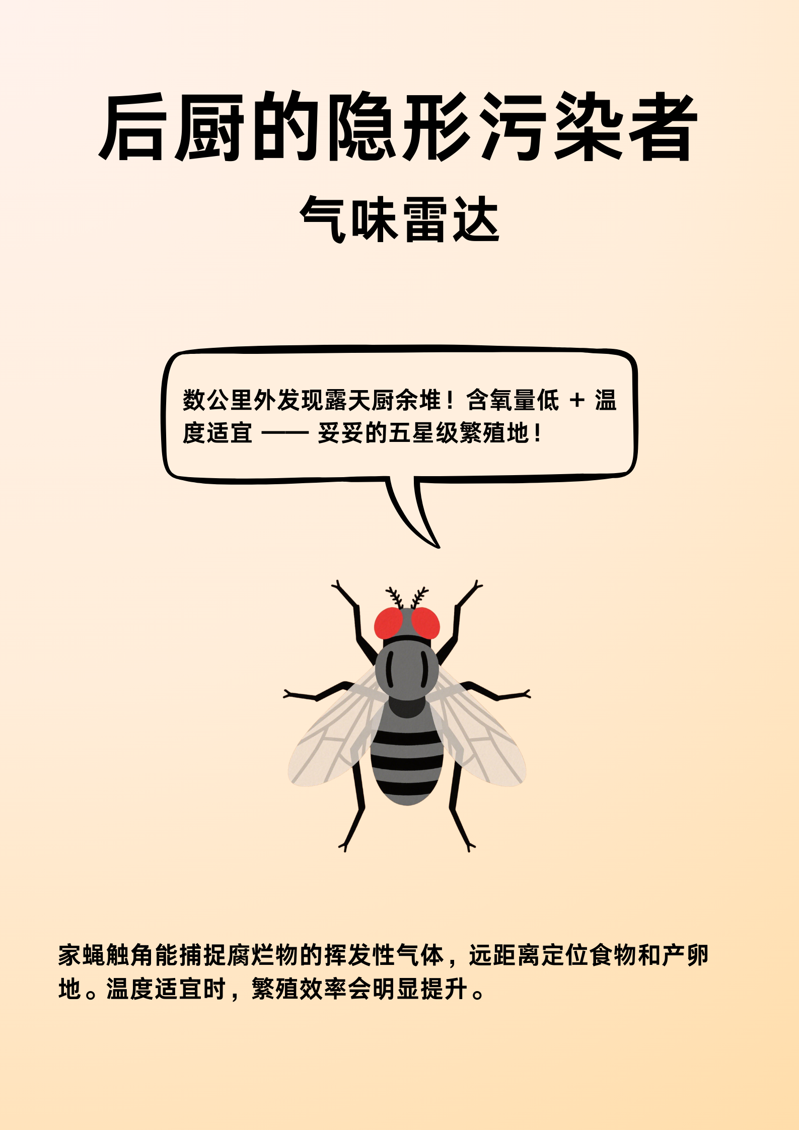 别让虫害耗心血！马小虫专业虫害消杀，让经营更踏实