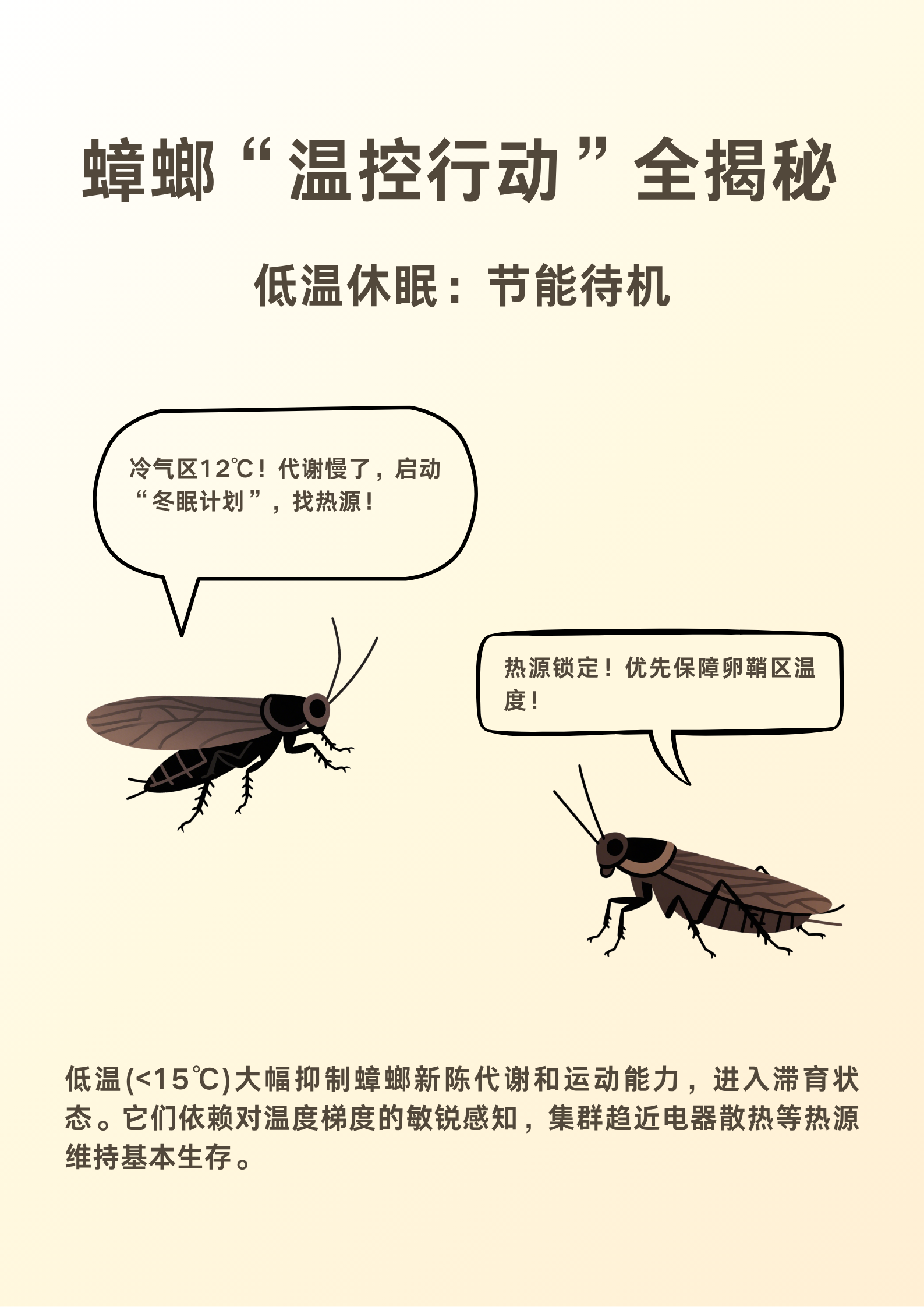 别让“无证消杀”毁了你的家和生意！这份避坑指南请收好。