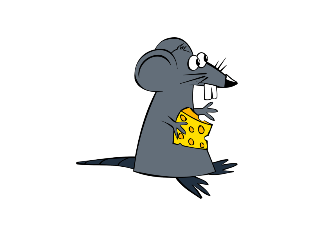 隐翅虫——看似无害的“小恶魔”