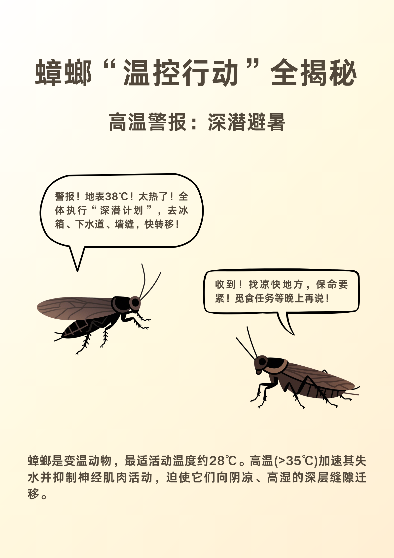 别让白蚁毁了你的家！装修前不做这步，后悔都来不及，马小虫来支招！