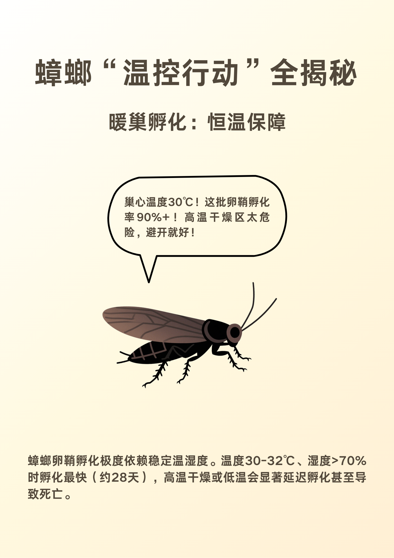 立秋后蚊子更凶？正确处理法帮你少遭罪