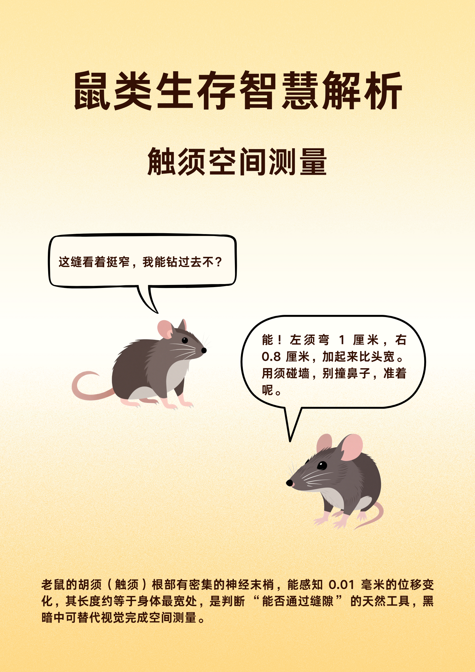 为什么蟑螂如此难杀？这样做才能真正一窝端！