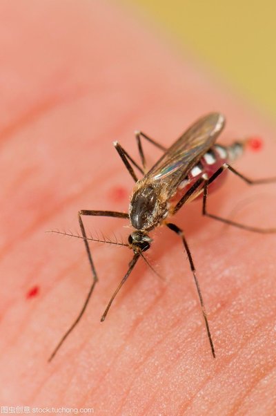 惊喜再续！所有人都能赚！推荐有礼 + 首单双向红包，双重福利暴击来袭！