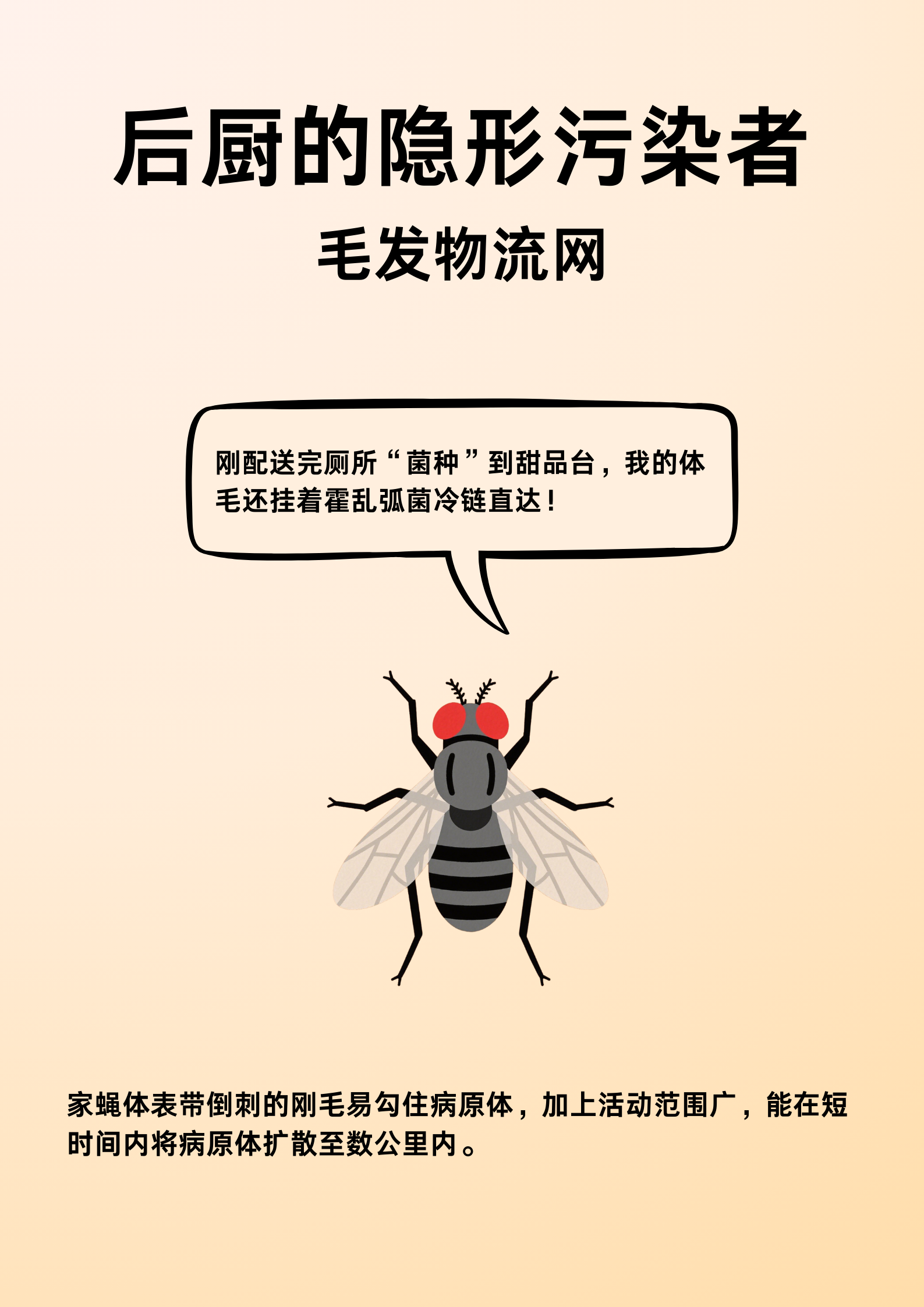 高层为啥总有蟑螂？管道成爬楼捷径，4 招断它所有生路