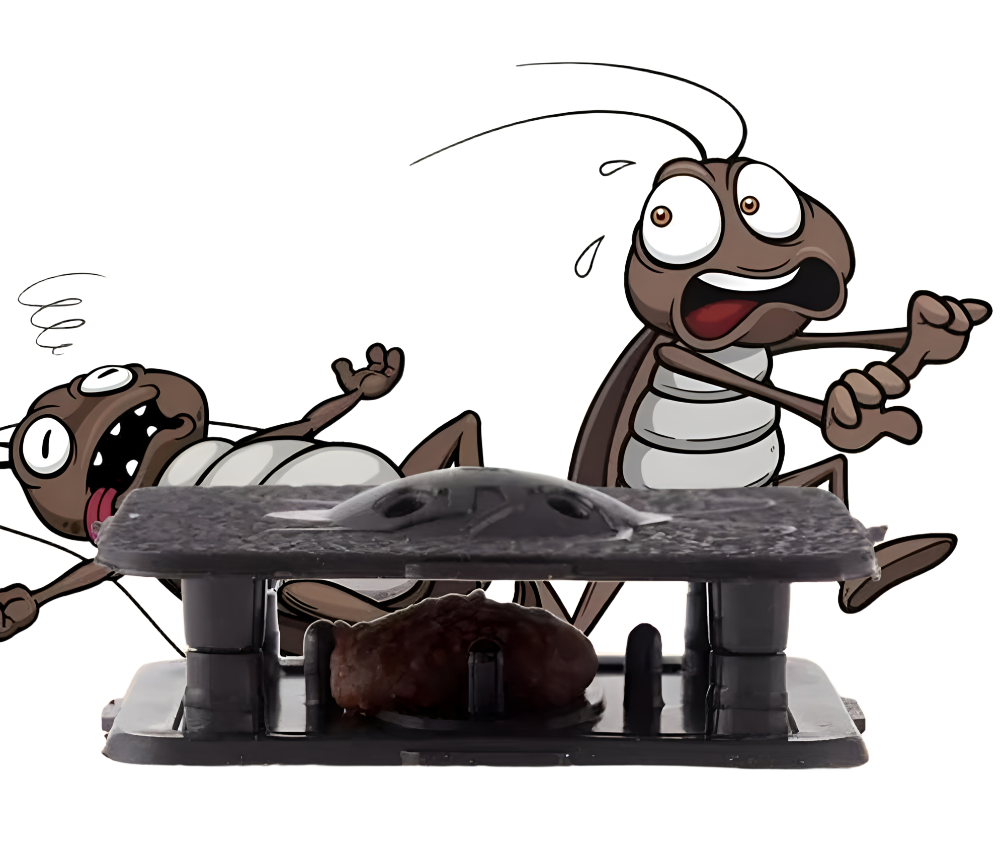 让宾客驻足的第一道风景，由我们默默守护 | 马小虫酒店外围深度消杀实录