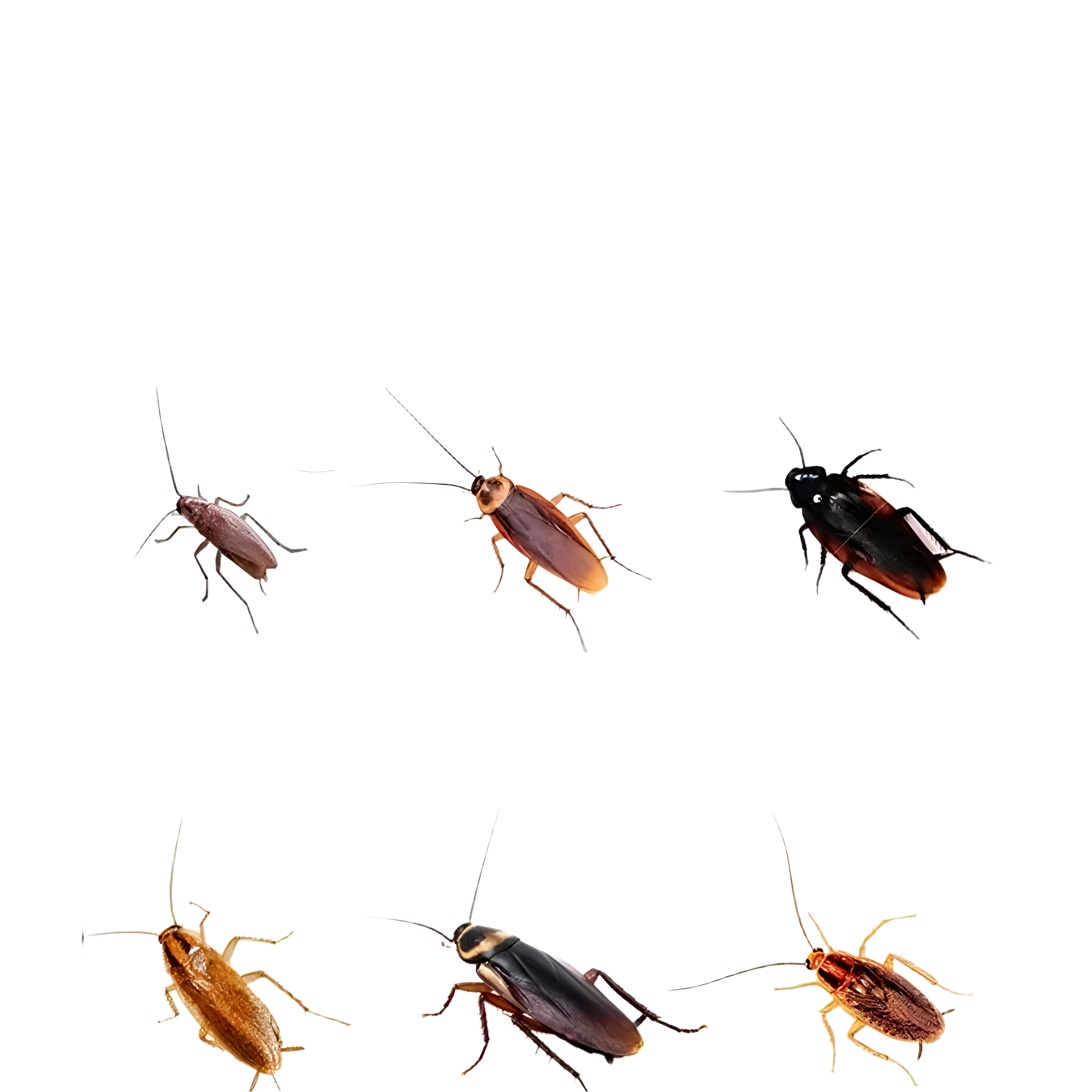 无声的守护者【马小虫】：幼儿园里的身影，为童年撑起“防护伞”