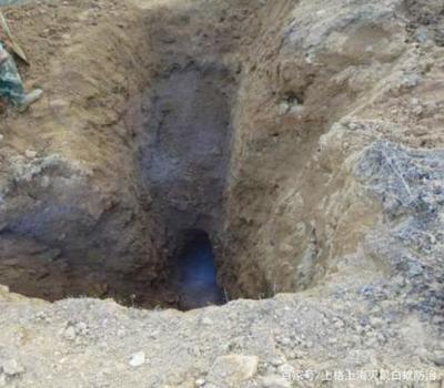 马小虫专业虫害消杀三大基石，打造安心居家/办公环境