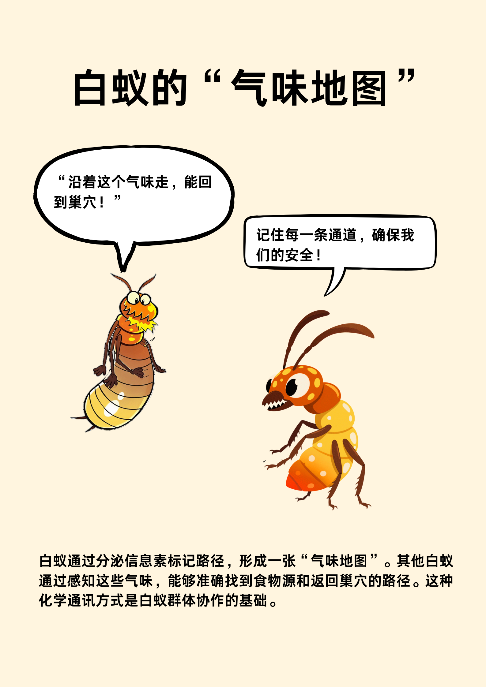 专业守护，静谧时光 | 马小虫圆满完成温泉酒店全域深度消杀