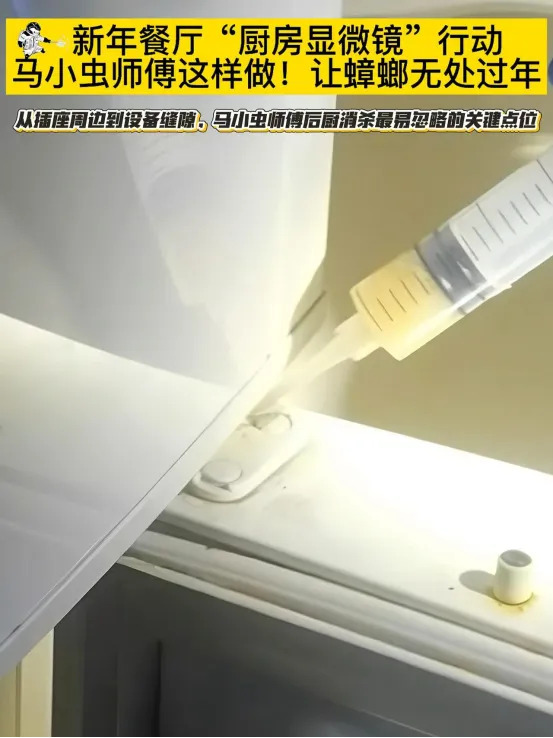 护航开学季！马小虫专业虫害消杀服务进校园，筑牢校园健康防线